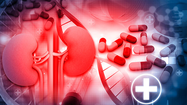 Mitos e Verdades  da Doença Renal Crônica